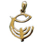 03-N35 Menorah and Fish 14K Gold - Biblicaljewels